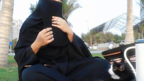 娱乐吃瓜君模仿,明星幕后那些事儿